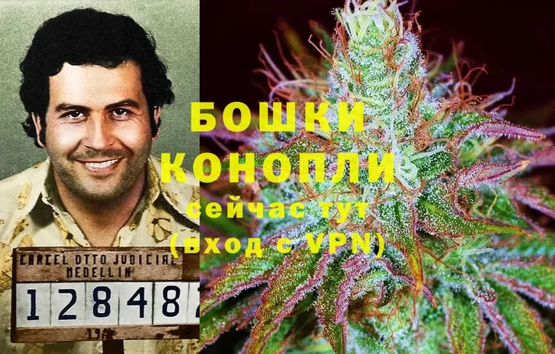 МАРИХУАНА THC 21%  где найти наркотики  Хасавюрт 